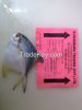 Fresh / Frozen Silver Pomfret , Chinese Pomfret , Black Pomfret , Golden Pomfret