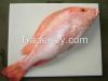 Fresh / Frozen Red Snapper 