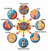 Stem cell treatment pr...
