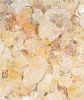 Gum Arabic