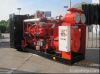 Camda H Series Gas Gen...