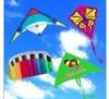 stunt kite/power kite/...