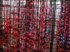Sell Led lighting for ...