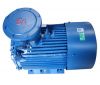 YB2 series electric ac...