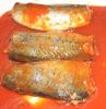 canned mackerel in tom...