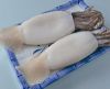 Fish pota Squid Tube a...