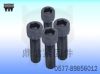 Alloy Steel Hex socket head cap scrrew  DIN912