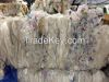 LDPE Plastic Scrap Com...