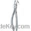 Tooth Extracting Forceps