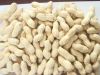 Peanut in shell