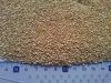 Quinoa and Chia from A...