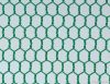 Hexagonal Wire Mesh