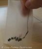water solublepva  bag