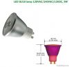 LED Spot Light UL 3W 