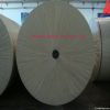Polyester Mat for bitu...
