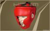 Head Guard