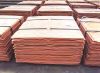 copper cathodes