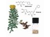 Rhodiola Rosea Extract Rosavins1% 2% 3%