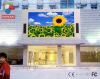 P10 led display