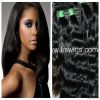 virgin remy human hair