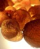 Gum Arabic