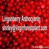 Lingonberry Anthocyani...