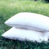 pillow