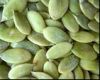 Pumpkin seed kernel sh...