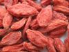 Goji Berry