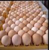 Table Eggs, Quail Eggs...