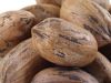 Pecan nuts / Hard Shel...