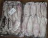 Fresh Frozen Squid / F...