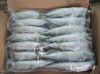 Frozen Mackerel / fres...