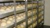 Fertile Ostrich Eggs / Ostrich Eggs  FOR SALE