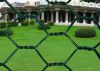 Hexagonal Wire Netting Anping&Dingzhou 