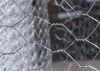 Hexagonal Wire Netting Anping&Dingzhou 