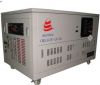 1-20KW  GASOLINE, CNG,...
