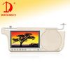 Sunvisor DVD player