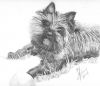 Pencil Sketches, Penci...
