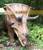 Animatronic Dinosaur  ...
