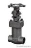 Globe Valve class 800 ...