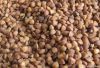 Roasted Buckwheat Kernels