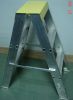 Aluminum Ladder