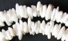 Shell Beads, Litob Squ...