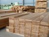 Teak Sawn Timber