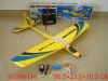 RC Plane (Soaring eagle)