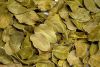 DEHYDRATED BOLDO (PREM...