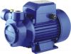 Vortex Pumps