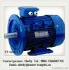 Three Phase Asynchronous Electric Motor Y2 Series