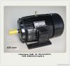 AEEF Three Phase Asynchronous Electric Motor